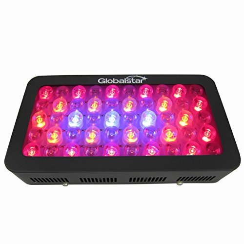 LEDGLE 300W LED Plant Grow Light Dimmable, Hydroponic Full Spectrum ...