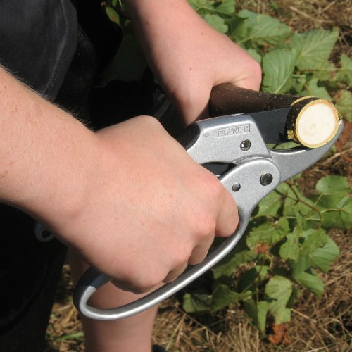 Ratchet Pruning Shears Gardening Tool Anvil Pruner Garden Shears with