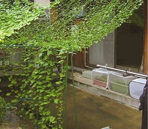 D3qk28wowg2md2 Cloudfront Net Wp Content Upload