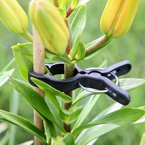 Tool for Supporting or Straightening Plant Stems Stalks and Vines Ram-Pro 40 Piece Green Gentle Gardening Plant & Flower Lever Loop Gripper Clips Garden Clips Tool for Supporting or Straightening Plant Stems Stalks and Vines Ram-Pro 40 Piece Green Gentle Gardening Plant & Flower Lever Loop Gripper Clips Garden Clips